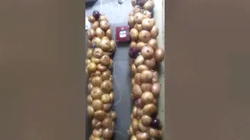тест пожарной сигнализации на приборе приёмно-контрольный охранно-пожарный НВП болид с2000 сп 2